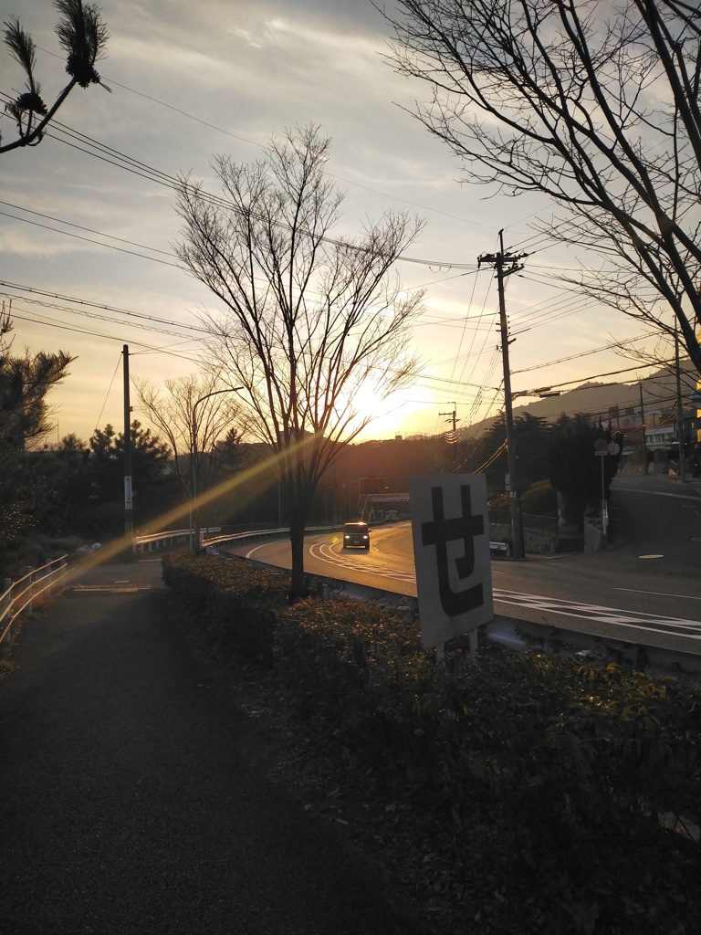 散歩にて1