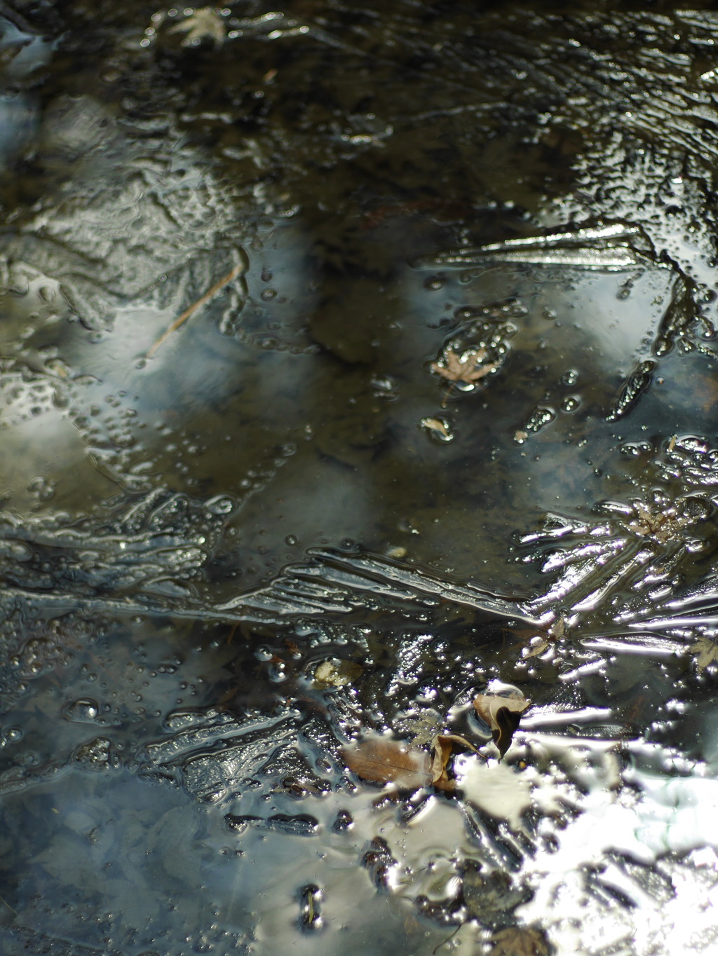 碓氷