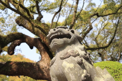 太宰府天満宮