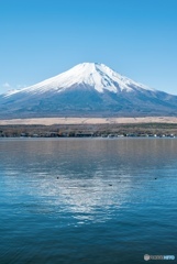 山梨県から見る絶景