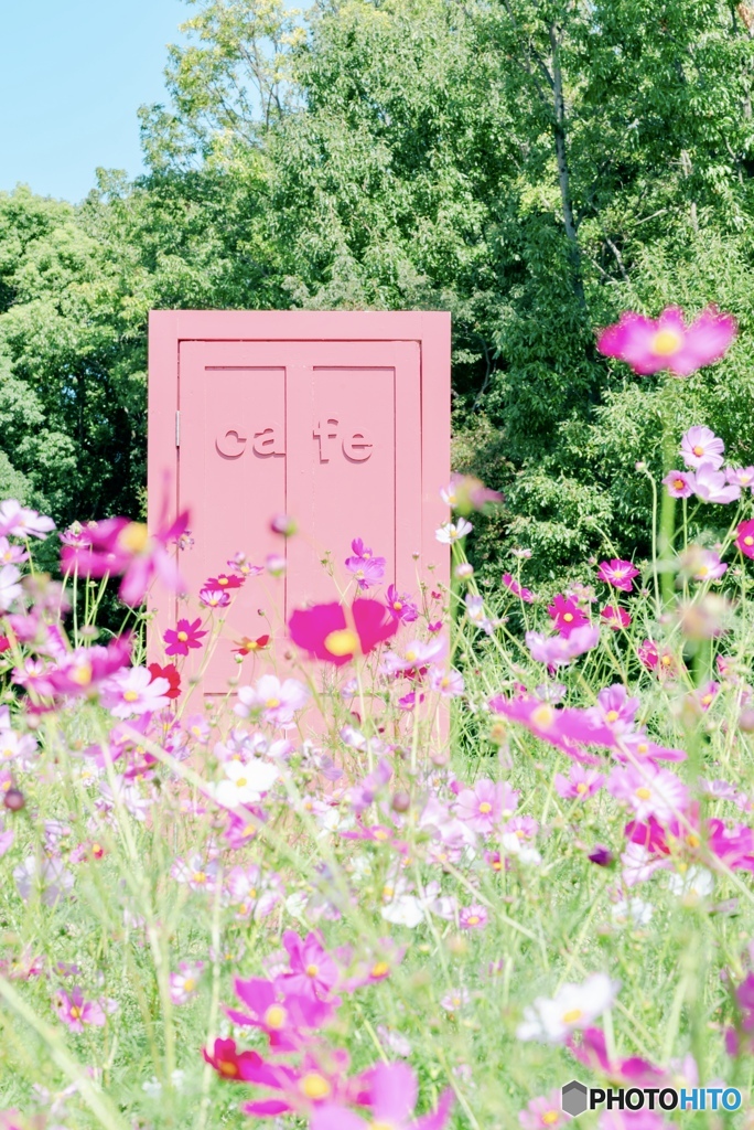 万博記念公園にあるドア