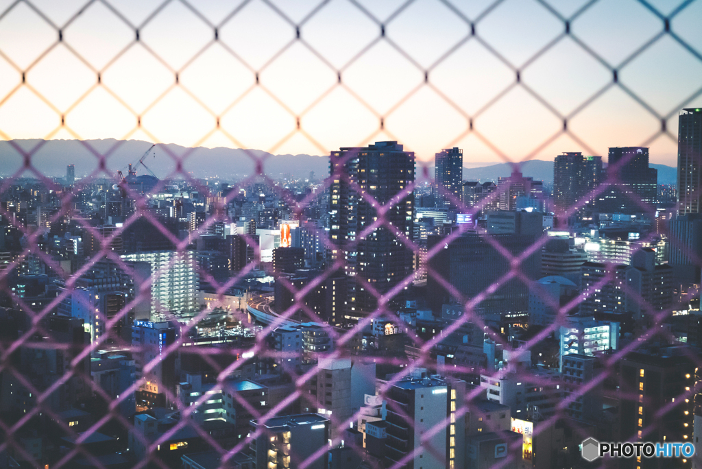 フェンス越しの夜景