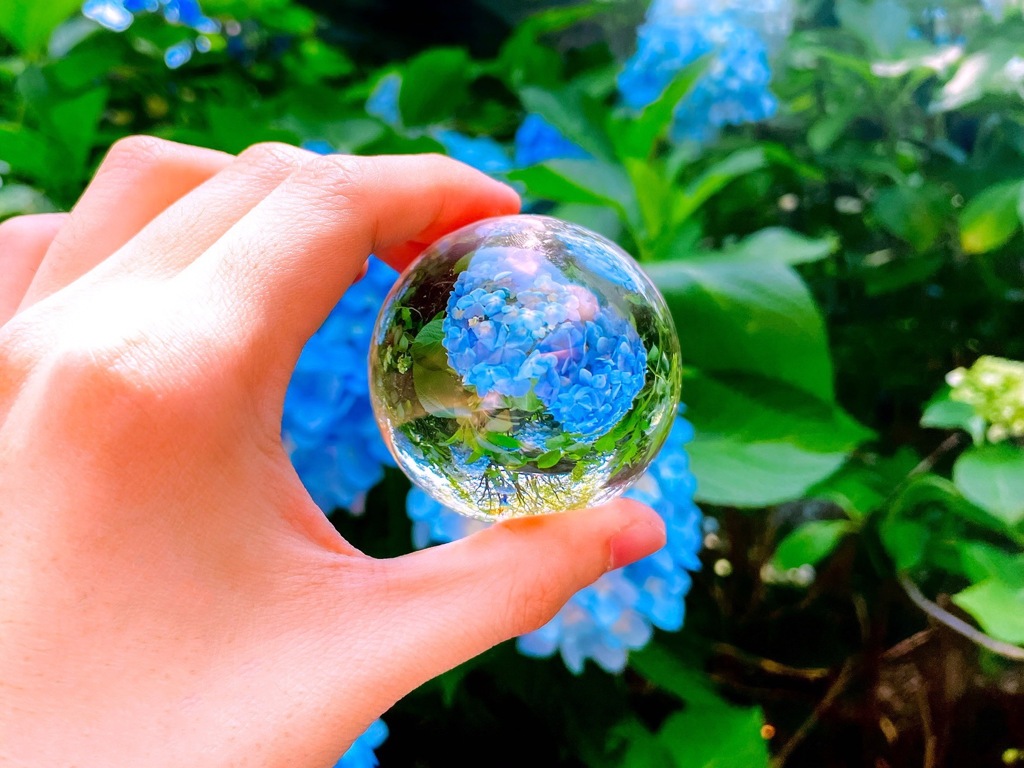 水晶玉と紫陽花