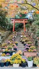 鳥居映え