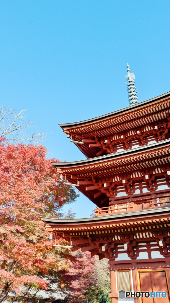 奈良県にある岡寺