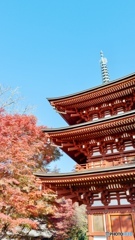 奈良県にある岡寺