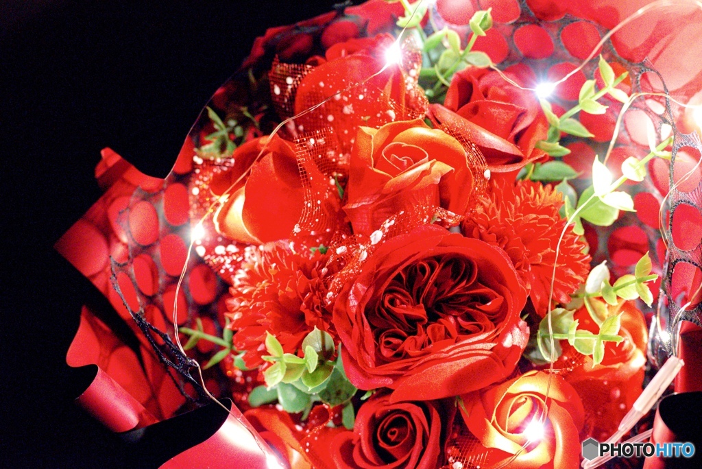 光り輝く赤い薔薇