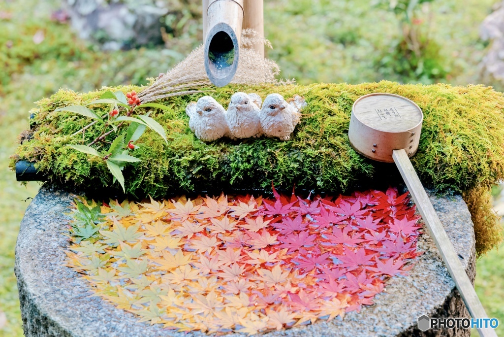 楊谷寺の可愛すぎる花手水