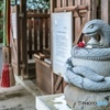大豊神社　狛ねずみの社