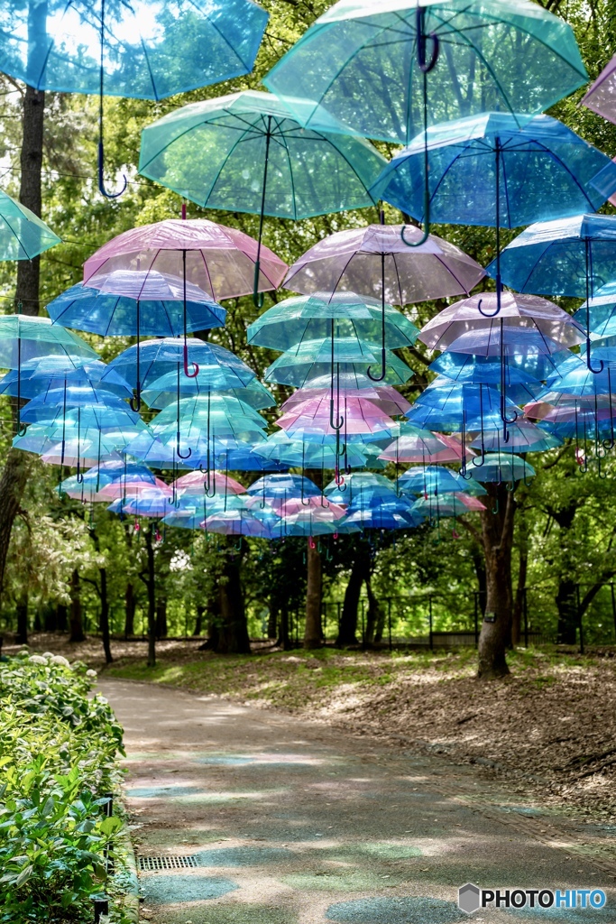 長居公園のアンブレラスカイ