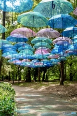 長居公園のアンブレラスカイ