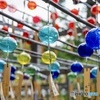 ガラス風鈴が並ぶ日本の風物詩風景