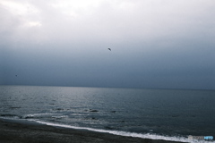 曇天の海