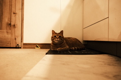 キッチンにて