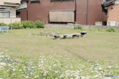 ベンチ