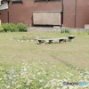 ベンチ