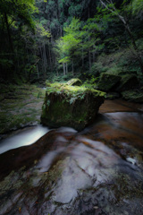 苔の生えた岩