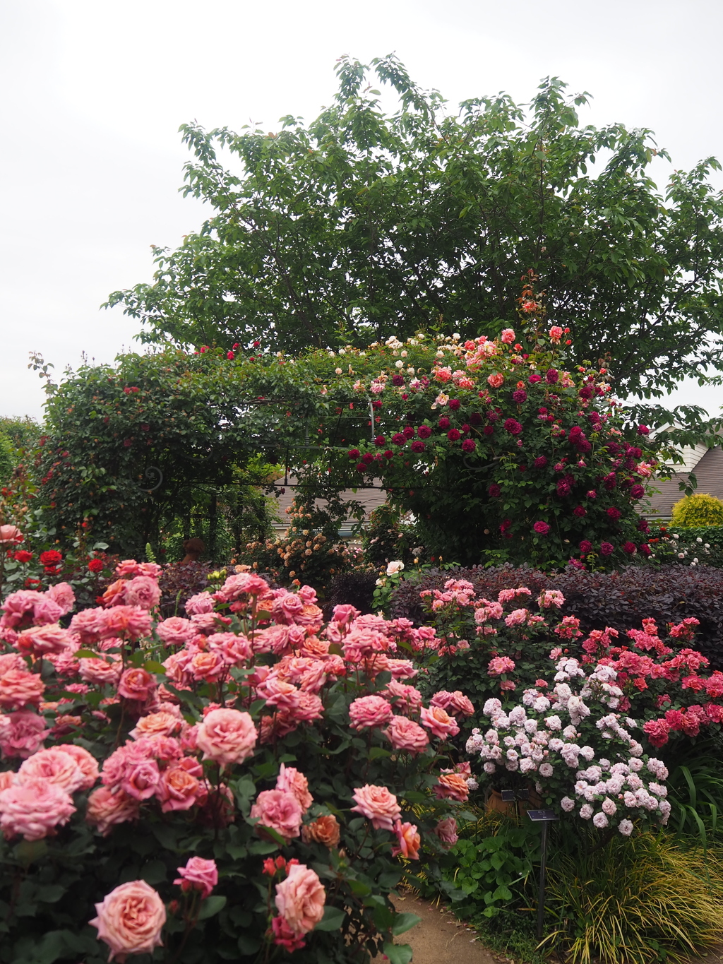 EAF22D8D-43D1-4DDC-A7DF-600EF2561C5D