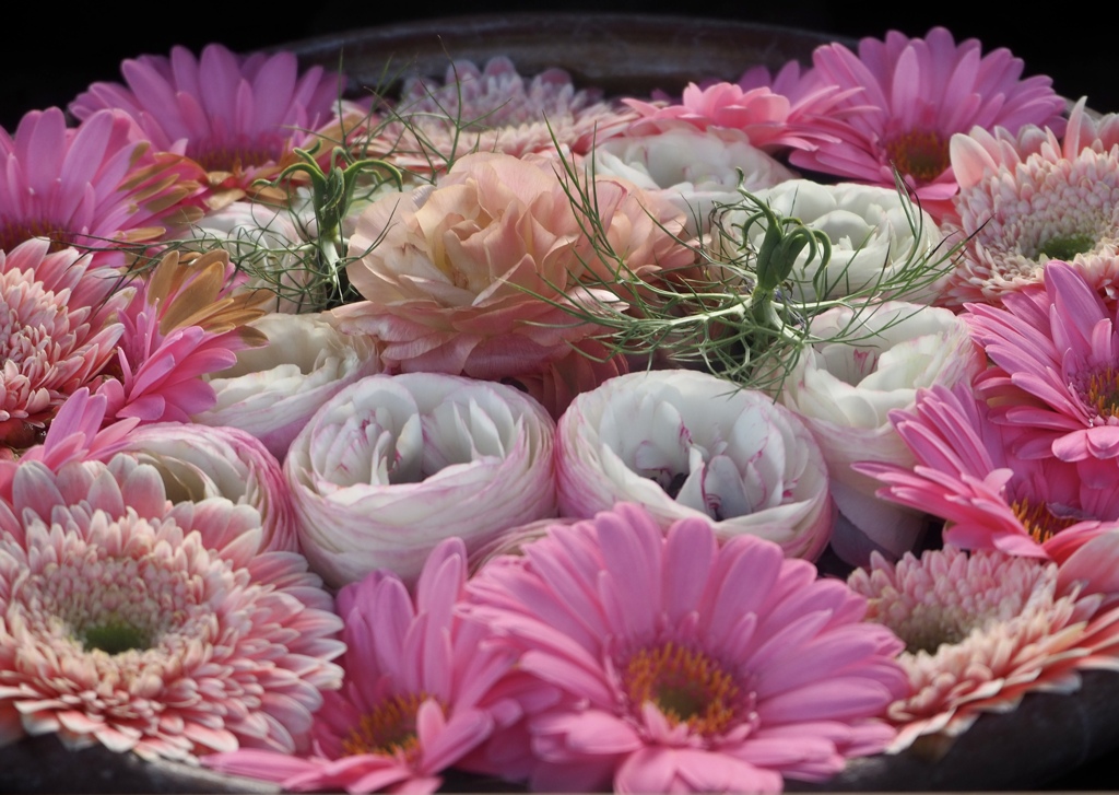 C7273BB2-D3AB-484E-95FF-F2B06F3A0F73