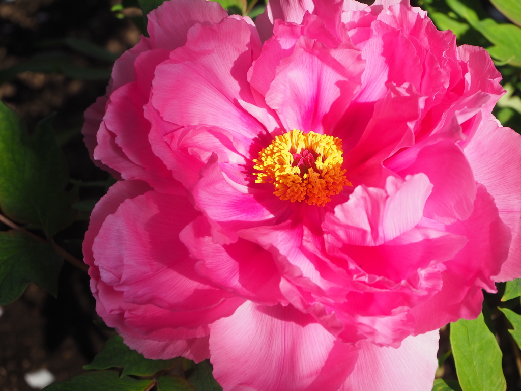 034683B6-3B2B-4472-BBB1-79562B6F7B53