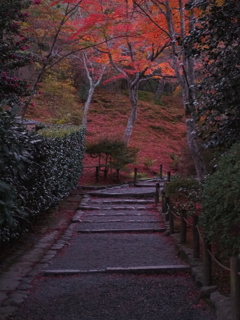 京都。天龍寺にて。