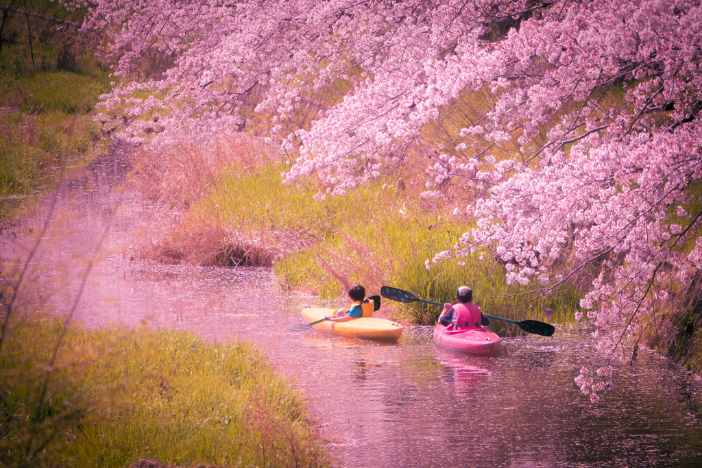 桜のある風景⑦