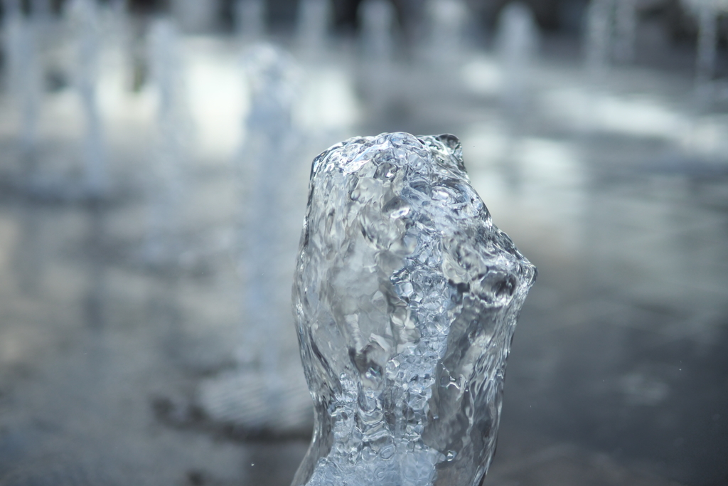 まるで凍り付いたように