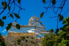 姫路城(世界遺産)　城下の遊歩道より①