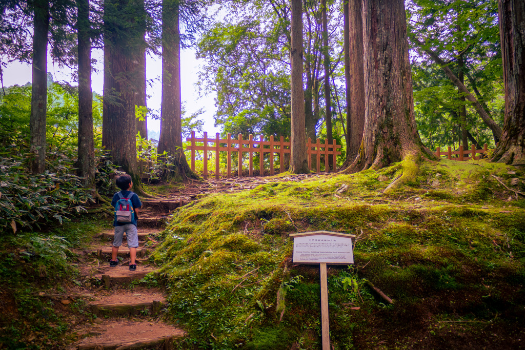 この道の先には・・・