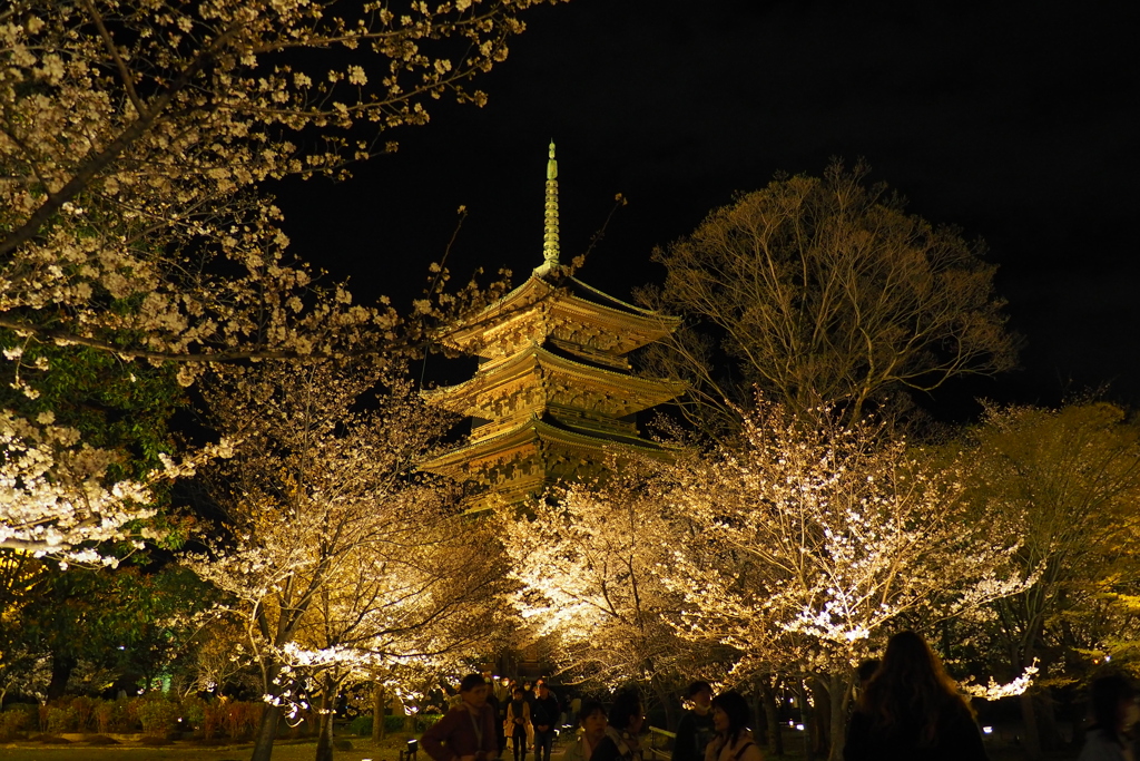 東寺にて⑤