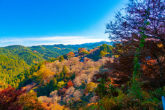 奈良県吉野山 (秋の風景①)
