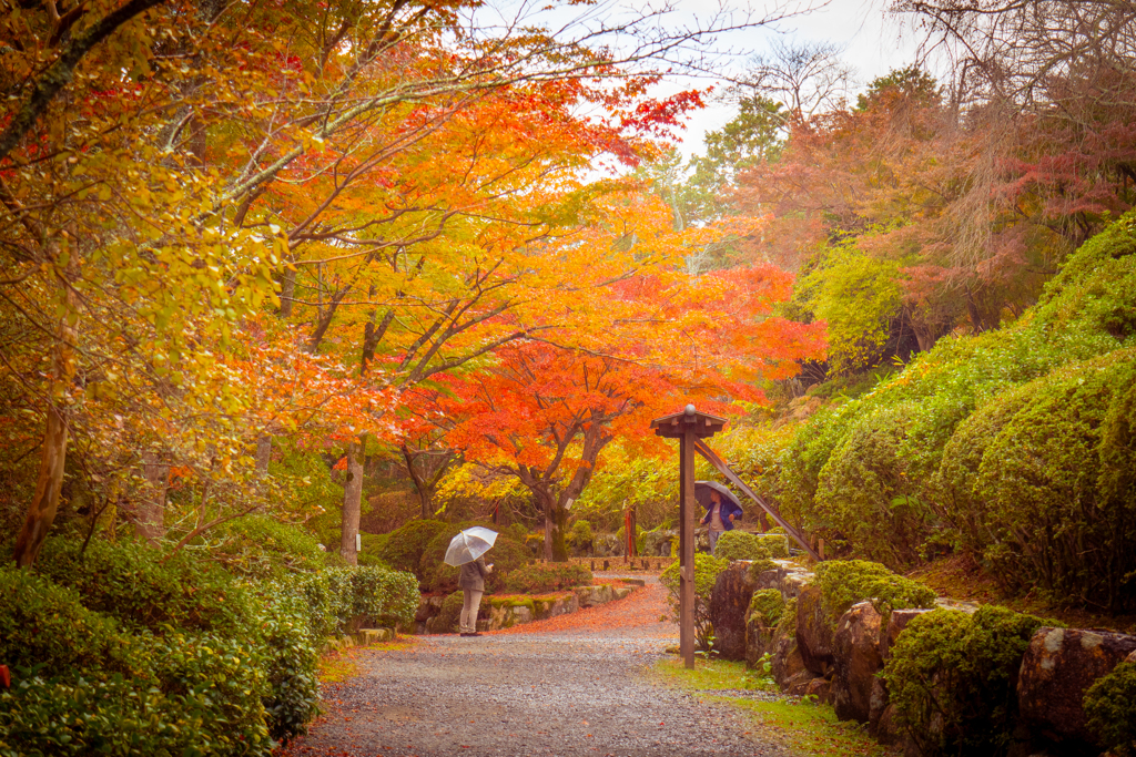 雨降る秋の石山寺