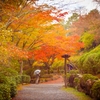 雨降る秋の石山寺