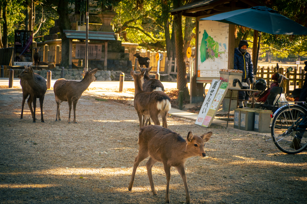 決して、勝手に売店の売り物に手を出すことはありません