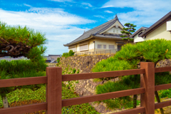 岸和田城 秋空②