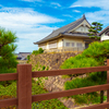 岸和田城 秋空②