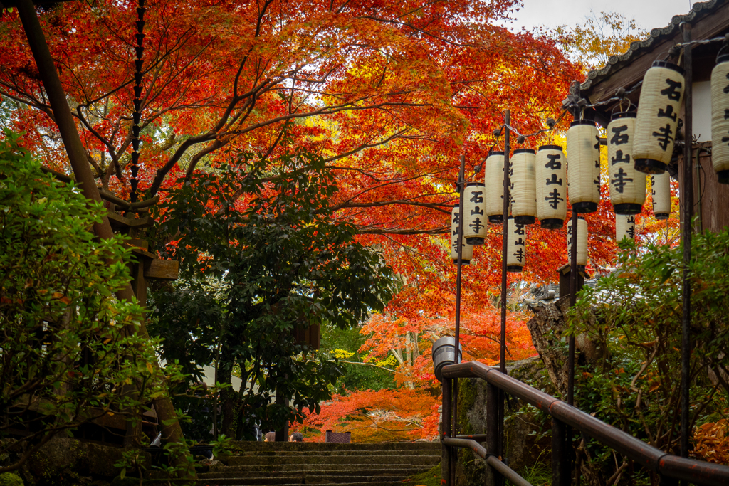 石山寺　頭上を覆う紅