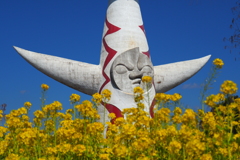 菜の花　×　太陽の塔