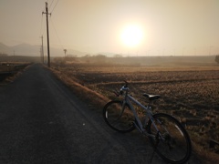 濃霧の朝、朝日に向かって。