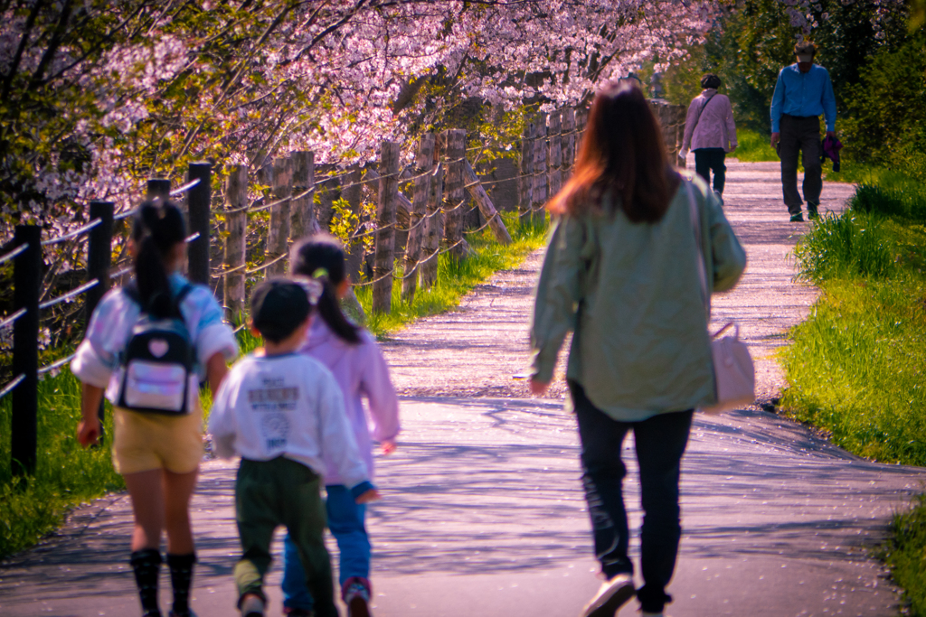 桜のある風景⑨