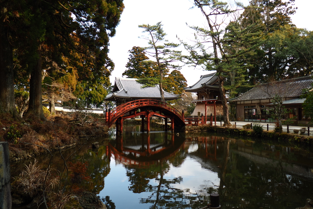 写真で振り返る2024年　２月