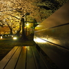 東寺にて⑧