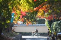 東福寺参道タクシー乗り場の先