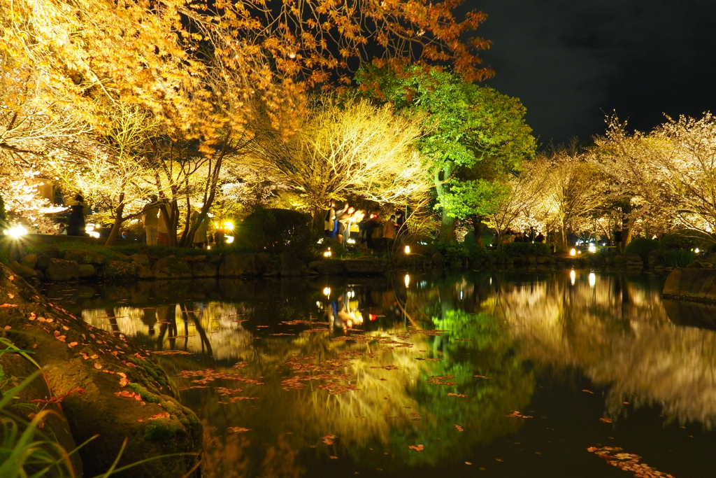 東寺にて⑫