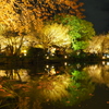 東寺にて⑫