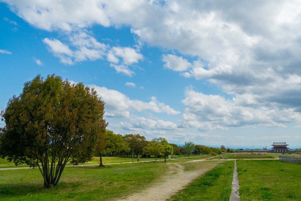 朱雀門を遠くに臨む