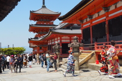美しき京都②（清水三重の塔）