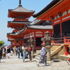 美しき京都②（清水三重の塔）