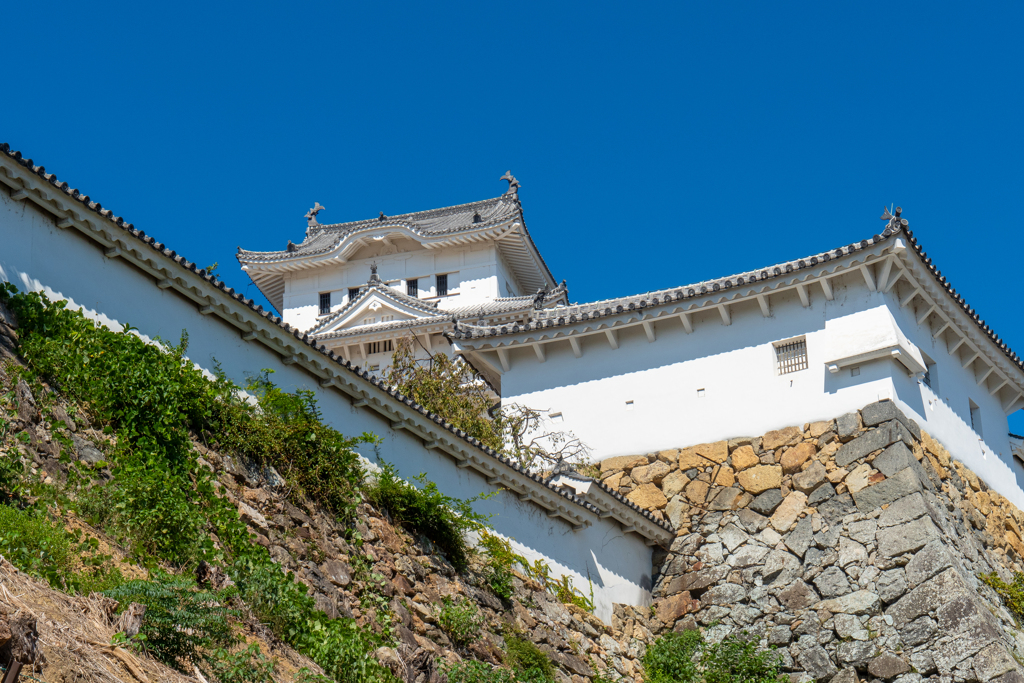 姫路城(世界遺産)　城壁沿いに