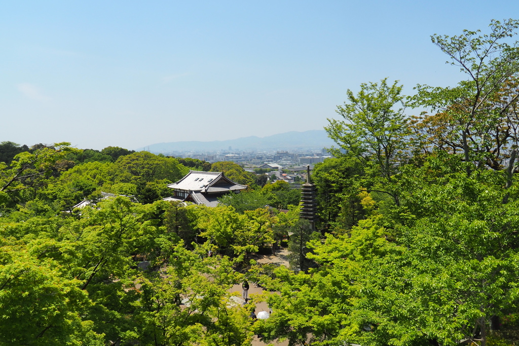 新緑の清水を見下ろす(遠景は京都市内)